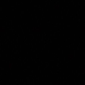 Meet your Posher, Mahek